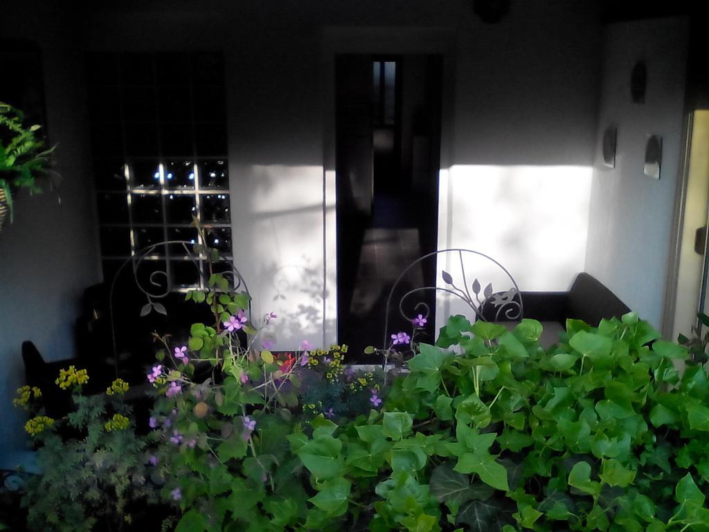 Apartment Poropat 波雷奇 客房 照片
