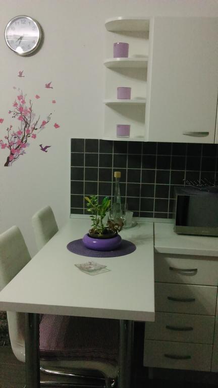Apartment Poropat 波雷奇 客房 照片